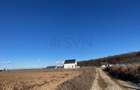 Teren Construcții intravilan de 8100 mp, în Ciolpani - 2