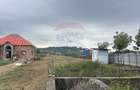 Teren Construcții intravilan de 4280 mp, în Lăpușel - 3