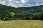 Teren Construcții intravilan de 21846 mp, în Răcădău - 9