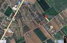Teren Construcții de 2500 mp, în Ciolpani - 4