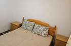 Inchiriz apartament 2 camere Cuza Voda - 2