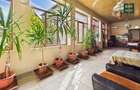 Casa cu 10 camere ?i 1437 mp teren in Ineu - Arad - 18