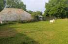 Teren intravilan, Carligi,com. Stefan cel Mare - 5