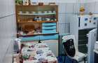 Apartament cu 2 camere decomandat în Giurgiului - 7