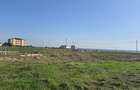 Teren Construcții intravilan de 17000 mp, în Costinești - 3 Teren Construcții intravilan de 17000 mp, în Costinești - 3
