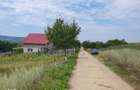 Teren Chicirea (Tomesti) 1.219 mp, 20 euro/mp ( 25.000 ) - 3