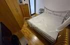 Apartament cu 2 camere decomandat în Liviu Rebreanu - 5