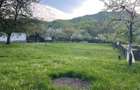 Teren constructie, 1590 mp, zona Firiza - 3