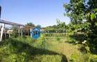 Casă cu 3 camere cu Canalizare în Mineri - 8 Casă cu 3 camere cu Canalizare în Mineri - 8