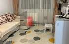 Raul Doamnei, apartament 2 camere - 4