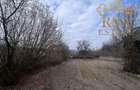 Vanzare teren 2100 mp, Mihaesti Barsesti, ideal casa sau investiti - 4