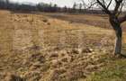 Teren extravilan de vanzare, 40 ARI, zona Racsa - 6