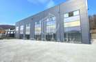 Spatiu Comercial/Hala - Baciu - Constructie Noua/Parcare - 39