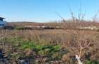 Teren de vanzare Dragomiresti Deal - 4