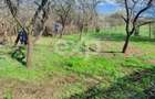 Casa la ?ara de vanzare Buzoesti, Arge? | Ideala p - 9