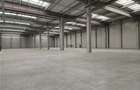 Spatiu Industrial - 4300 mp - Logistica - Depozitare - Distributie - 7