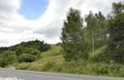 Teren extravilan Domasnea, jud. Caras Severin - 19.06 id R1982376 - 4