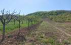 Teren 5,70 ha intravilan+extravilan, Vladimir-Andreesti , Jud.Gorj - 1
