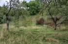 Casă individuală cu 4 camere cu Teren 6000 Mp în Cacova Ierii - 14