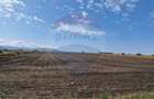 Teren intravilan, 4.874mp, DN E 85, com. Nicolae Balcescu, Bacau - 4
