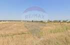 Vanzare Teren lotizat 4,650mp Sabareni / Strada Cereanca - 5