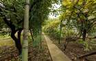 Casă individuală cu 3 camere cu Teren 503 Mp în Iosia - 11
