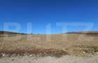 Teren extravilan, 17.000 mp, zona Almasu Mic - 3