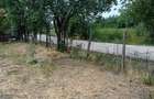 Casă cu 2 camere cu Teren 2100 Mp în Roșia de Secaș - 9