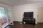 Apartament cu 2 camere semidecomandat în Berceni - 5
