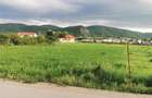 Teren Construcții intravilan de 9300 mp, în Chistag - 3