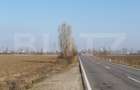 Teren 6,06 Ha, deschidere 145 ml, la DN1A. Barcanesti. - 1