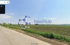 Teren intravilan/extravilan 10.000 mp, Horlesti