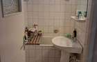 Apartament cu 2 camere în Camil Ressu - 8