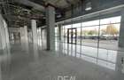 Spatii comerciale de inchiriat - Monaco Towers - de la 78 mp - 5