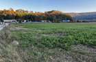 Teren extravilan-arabil 5800m2 - 8