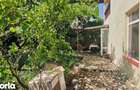 Casa P+1, curte 800 mp in Corbeanca, la sosea - 6