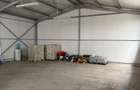 Spatiu comercial 280 mp + 700 mp curte, Filiasi - 10