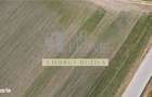 Teren intravilan 2500mp, Bucov - 4