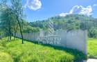Teren Construcții de 10000 mp, în Pojoga - 4