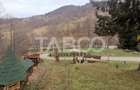 Pensiune de lux de vanzare in inima padurii langa Sibiu - 28