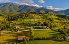 Teren Construcții intravilan de 3000 mp, în Bran - 7