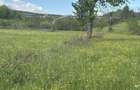 Teren deosebit 8100 m2 Sinca Noua - 7