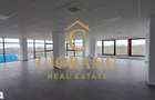 Hale industriale+Cladire de Birouri de inchiriat zona Aeroport - 8