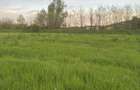 Teren -parcelabil Terenul se parceleaza- Leamna de Jos 2750 mp - 4