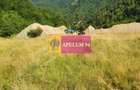 Teren Jude?ul Valcea - Brezoi, Valea lui Stan - 18