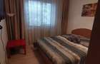 Apartament cu 3 camere decomandat în Nicolae Grigorescu - 7