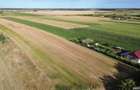Teren de 11000 mp, în Lăceni - 5