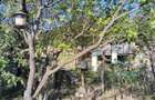 De vanzare casa ?i teren cu o suprafata de 13000 mp, 52.000 euro - 10