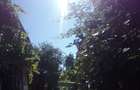 Casă cu 2 camere cu Teren 360 Mp în Timișoara - 12