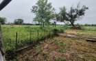 Casa de vanzare cu 3 camere in localitatea Cuied cu 2805 mp - 1
